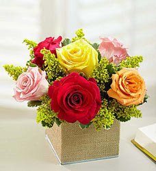 Radiant Rose Bouquet Davenport Florist - Same Day Flower Delivery - Flower Power 